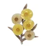Cheap A Walk In The Wattle Brooch Brooches