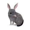 Hot Bouncy Burrow Dweller Bilby Brooch Brooches