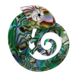 Shop Carmel'S Chameleon Brooch Brooches