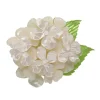 Outlet Heartfelt Hydrangea Brooch Brooches