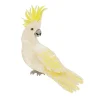Online Hello Cocky Brooch Brooches