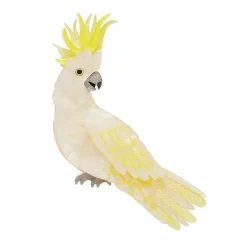 Online Hello Cocky Brooch Brooches