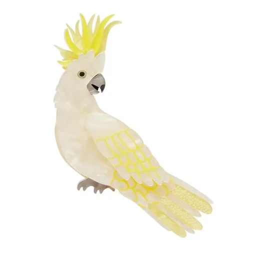 Online Hello Cocky Brooch Brooches