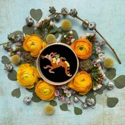 Cheap Leafy And The Sea Dragon Brooch Brooches