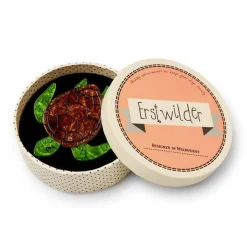 Store Michelle Sea Turtle Brooch Brooches