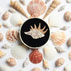 Best Sale Mobile Home Shell Brooch Brooches