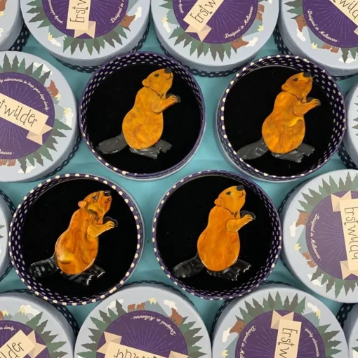 Cheap Mr. Beaver'S Bark Brooch Brooches