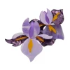 Hot My Compliments Brooch Brooches