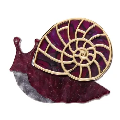 Shop Painted Shell Brooch Brooches