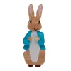 Cheap Peter Rabbit Brooch Brooches