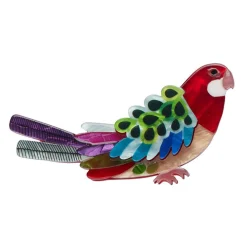 New Rosie Rosella Brooch Brooches