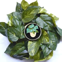 Shop Show Me The Money Plant Brooch Brooches