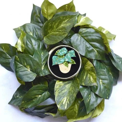 Shop Show Me The Money Plant Brooch Brooches