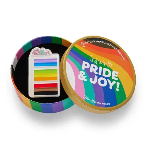 Clearance Slice Of Pride Cake Brooch Brooches