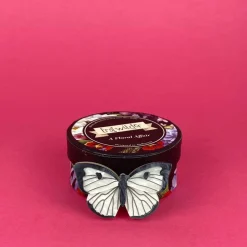 Flash Sale Social Butterfly Brooch Brooches