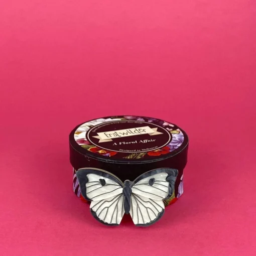 Flash Sale Social Butterfly Brooch Brooches