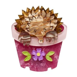 Best Spiney Seedling Echidna Brooch Brooches