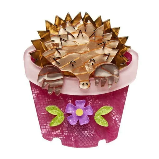 Best Spiney Seedling Echidna Brooch Brooches