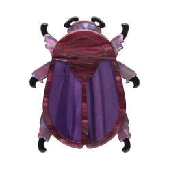 Store Summer Scarab Brooch Brooches