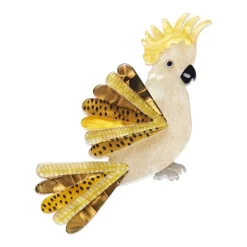 Fashion Sunny Of The Sulphur Crest Brooch Brooches
