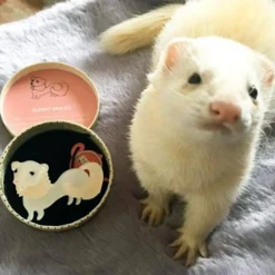 Clearance Sunny Smiles Ferret Brooch Brooches