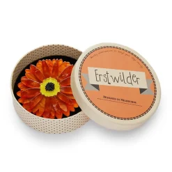 Shop Sunshine Of Life Gerbera Brooch Brooches