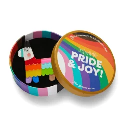 New Viva Pride Pinata Brooch Brooches