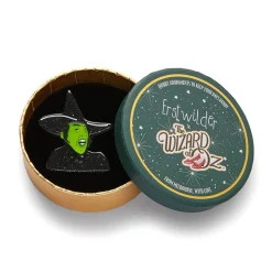 Sale Wicked Witch Of The West Brooch Brooches