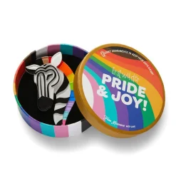 Sale Zelda The Zestful Zebra Brooch Brooches